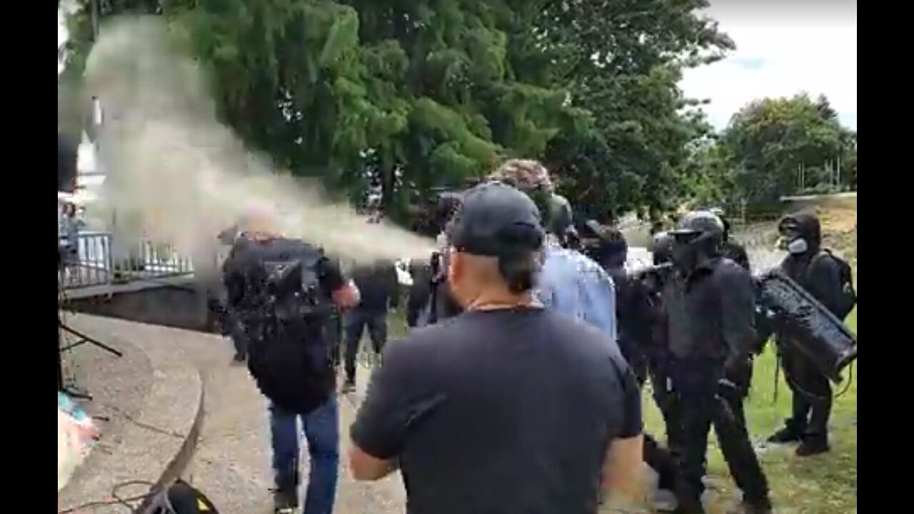 Pt 4 of Antifa Targets & Attacks a Baby, Children & Adults of Different Colors! WDAAA? 20