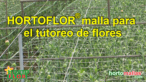 HORTOFLOR® malla para el tutoreo de flores