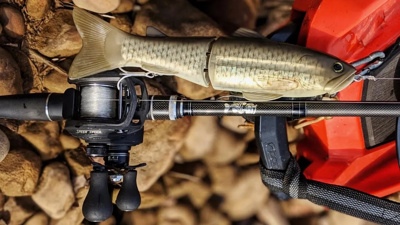 The Swimbait Set Up and How It Changed...