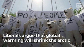 Fact Check: Despite Misleading Video, Polar Bears Are Thriving