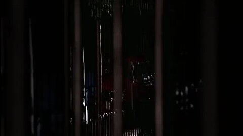 The Super Mario Bros. Movie