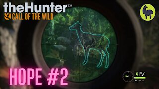 The Hunter: Call of the Wild, Hope #2