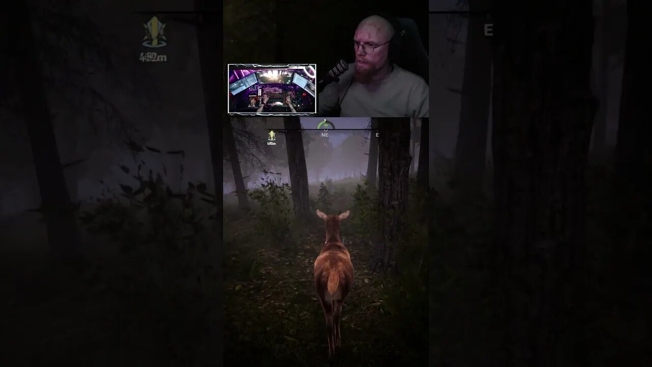 Animals Are So Strong In This Game #medievaldynasty #gameplay #scandinavianwolf #shorts