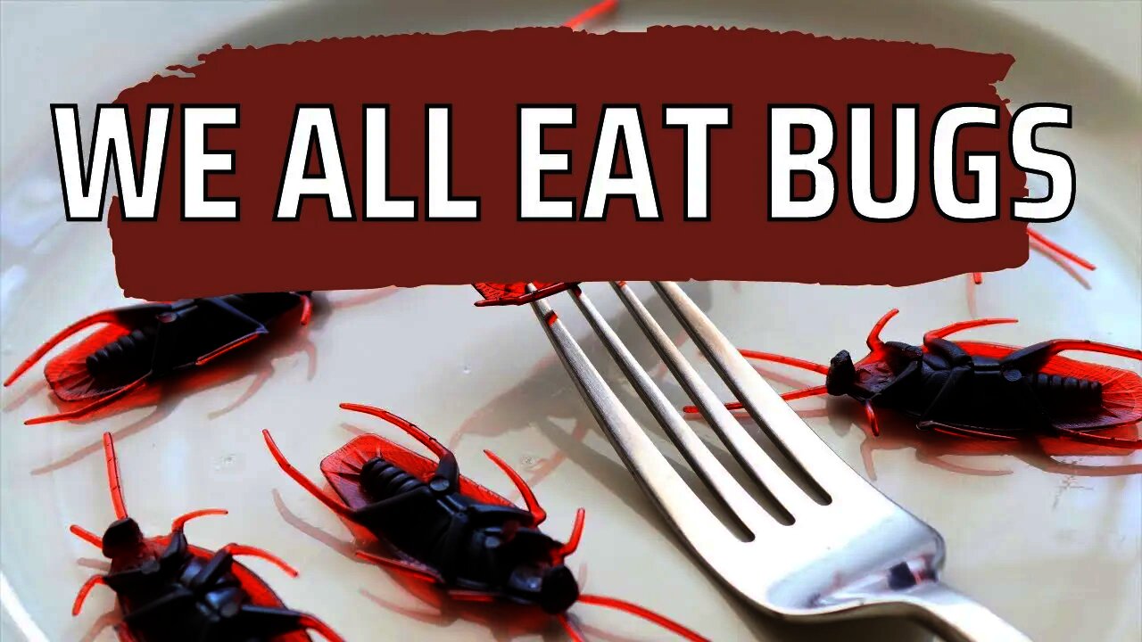 The Daily Fun Facts Part 1 | Interesting facts you may not know