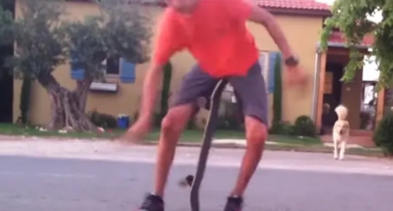 RIP BALLS FUNNY VIDEOS / FUNNY NUTCRACKER VIDEOS