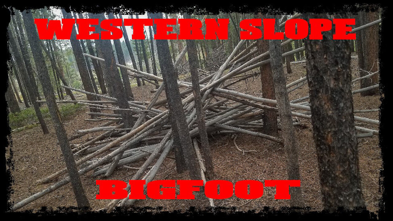 Bigfoot caught on video! very cool, Western Slope Bigfoot