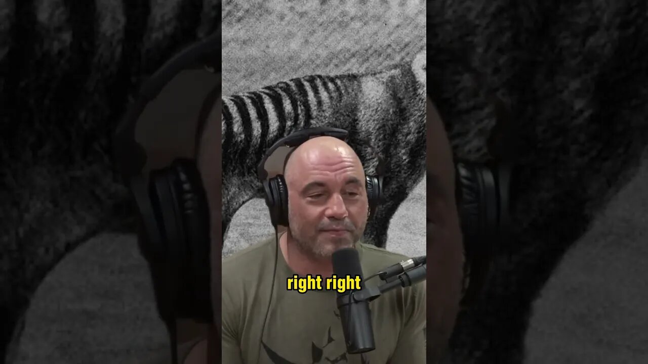 Joe Rogan and Forrest Galante Discuss the Fascination with Cryptids and Mythical Creatures