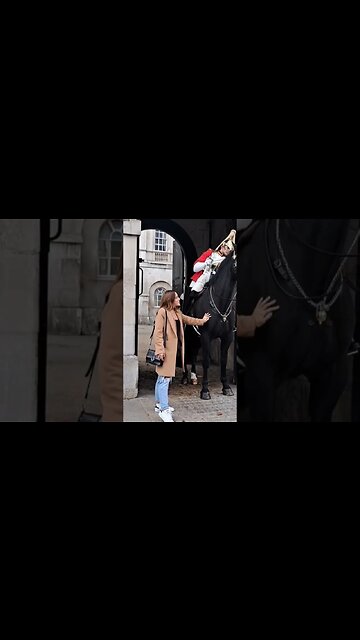 Don't feed the Horse chocolate #horseguardsparade