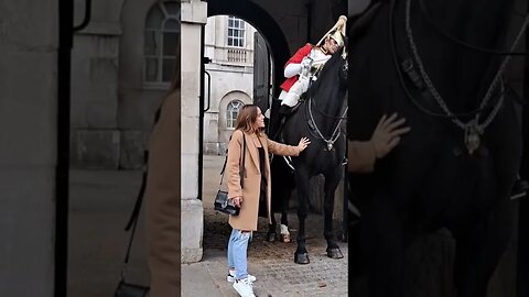 Don't feed the Horse chocolate #horseguardsparade