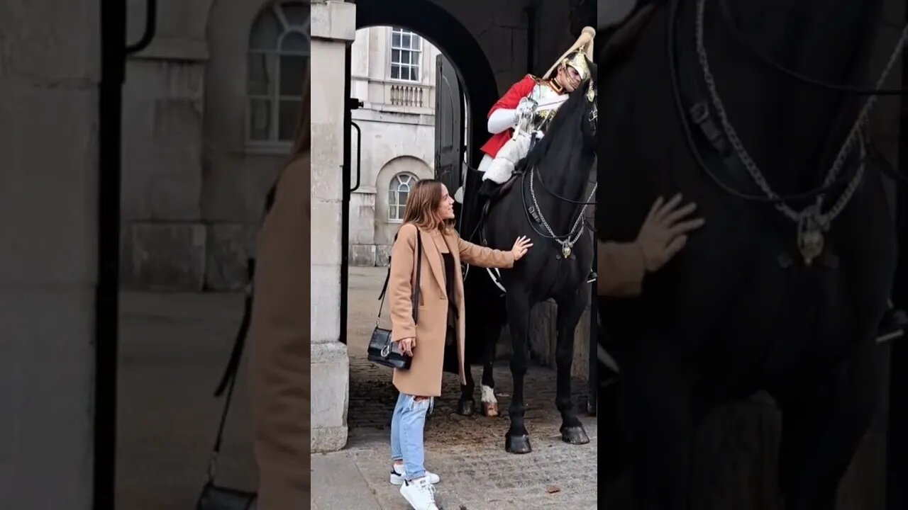 Don't feed the Horse chocolate #horseguardsparade