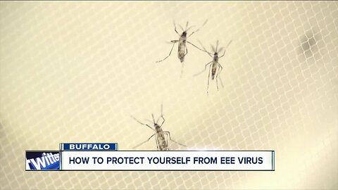 How to protect yourself from the EEE Virus