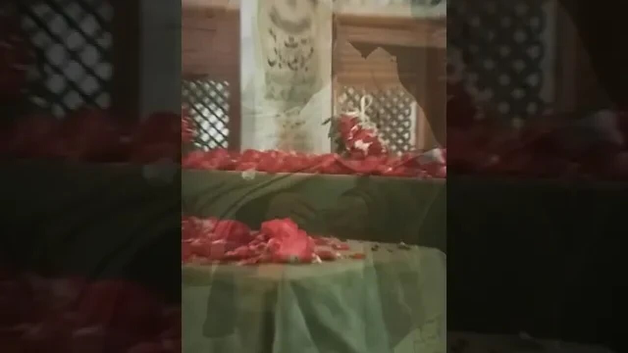 saad rizvi status |allama saad hussan Rizvi Byan today #rizvishairofficial #short #umairsaifi