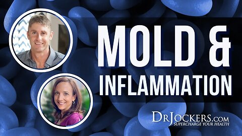 Mold and Inflammation