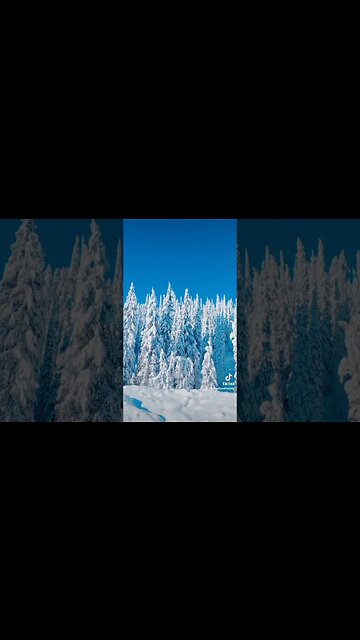 Stopped for the view. #shorts