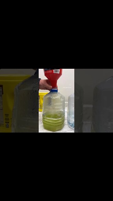 Exploring Hydroponics at Barnes Family Farm