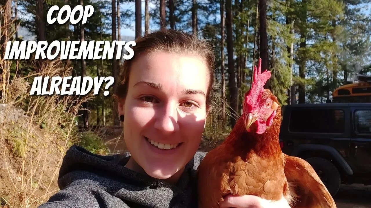 We Made A Mistake | Changing The Chicken Coop | Building A Poop Deck