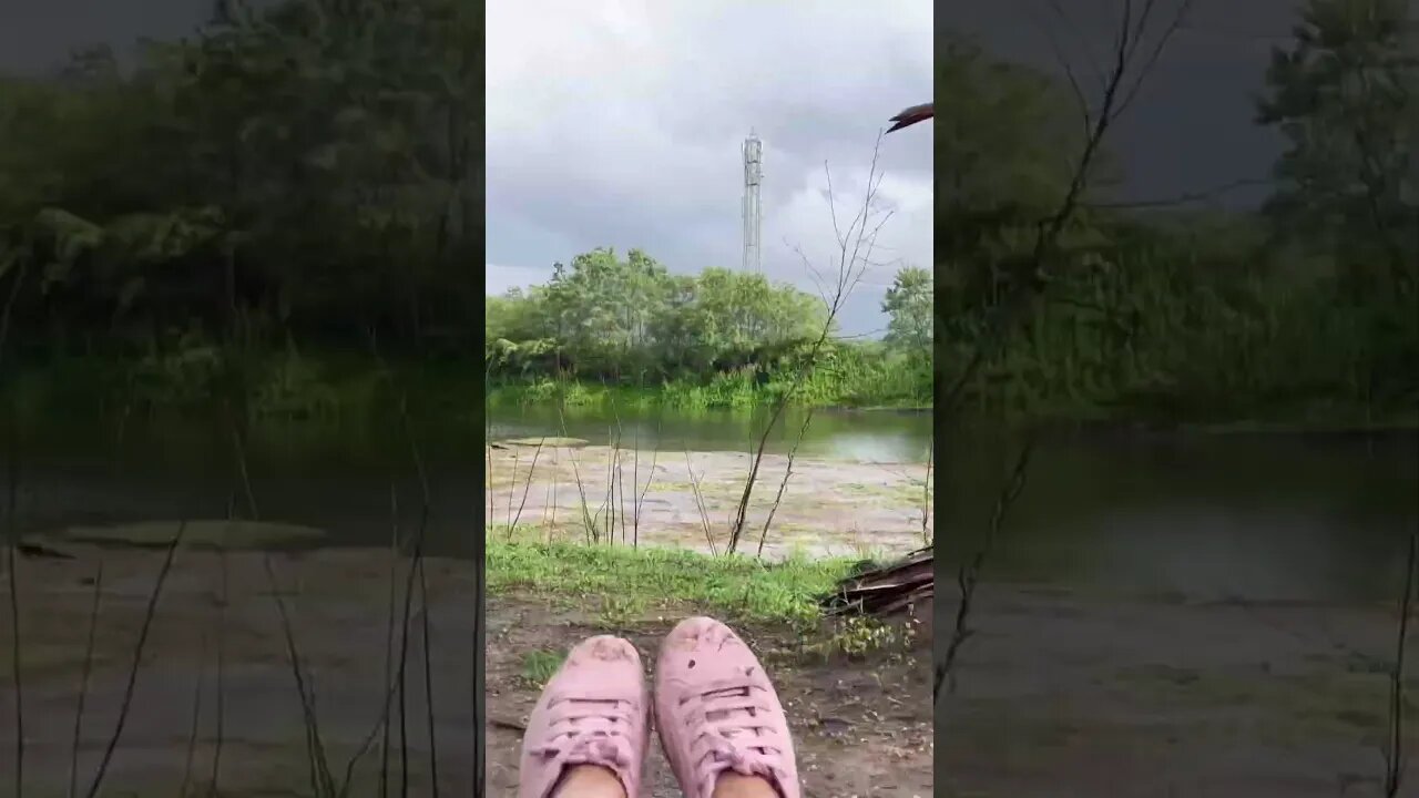 Pease 😌 #trending #youtubeshorts #trendingstatus #peace #shorts #short #lakeview #selflove
