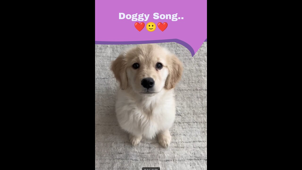 Doggy Song..❤️🙂