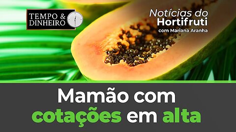 Mamão com cotações em alta. Ovo branco registra alta