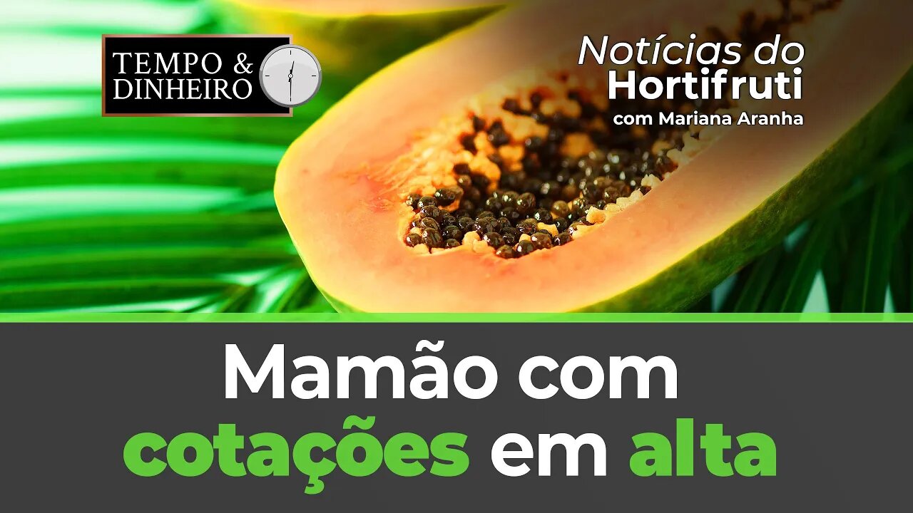 Mamão com cotações em alta. Ovo branco registra alta
