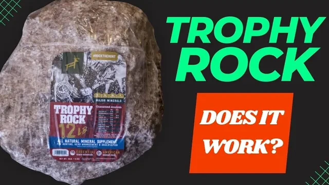 Trophy Rock - Does It Work??? 🦌🦌🦌