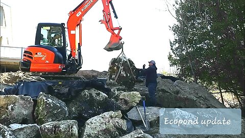 Ecopond update - tree clearing, stream work, driftwood waterfall, retaining wall