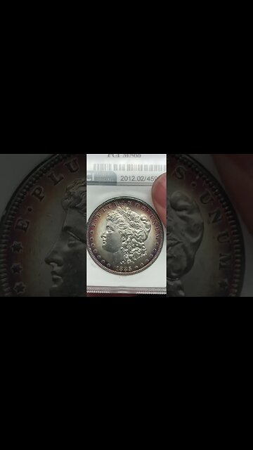 Is it a VAM? What do you think about this Morgan?