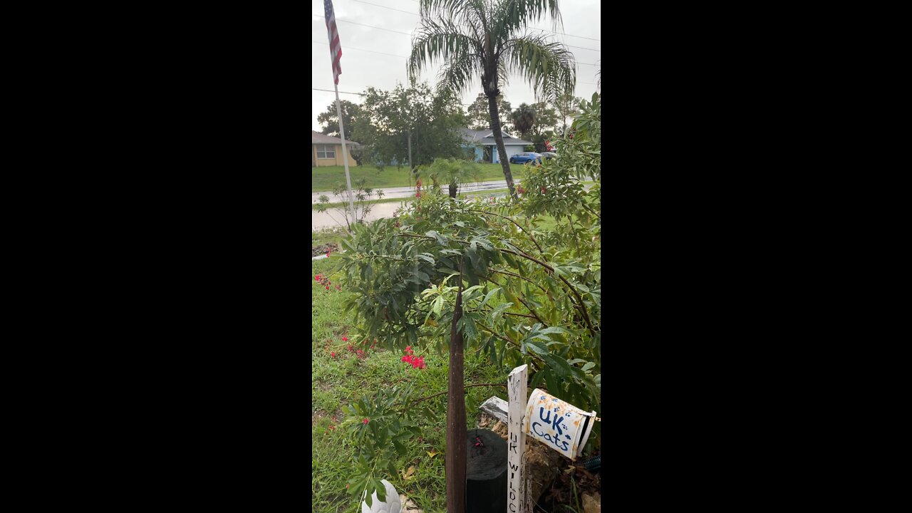 rain!!!!