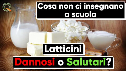 🥛 Latticini: Dannosi o Salutari?