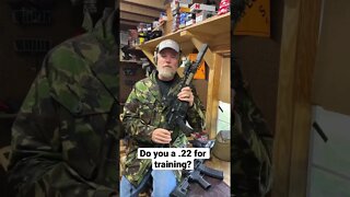 Do you use a .22 for training? Maybe you should.