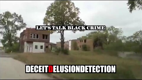 Black On White Crime Report 52 Deceit Delusion Detection