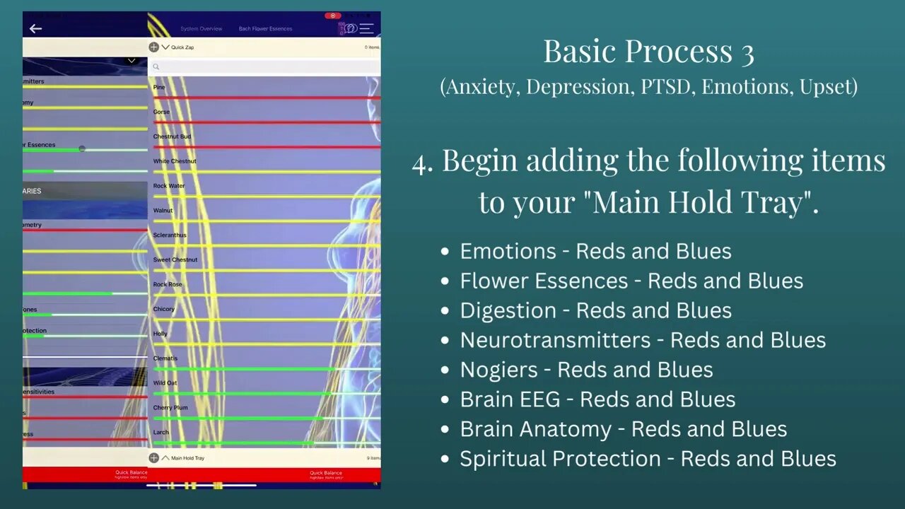 Basic Process 3 Step by Step Walk through!