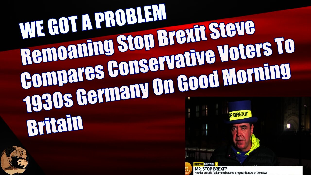 Remoaning Stop Brexit Steve Compares Conservative Voters To 1930s Germany On Good Morning Britain