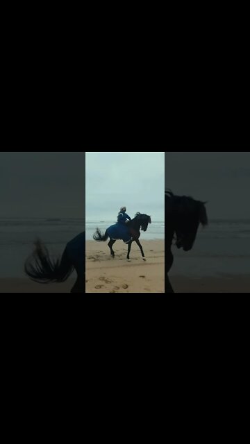 Conheça @BDMercantil!! Único ativo digital com lastro físico!!