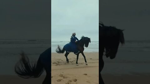 Conheça @BDMercantil!! Único ativo digital com lastro físico!!