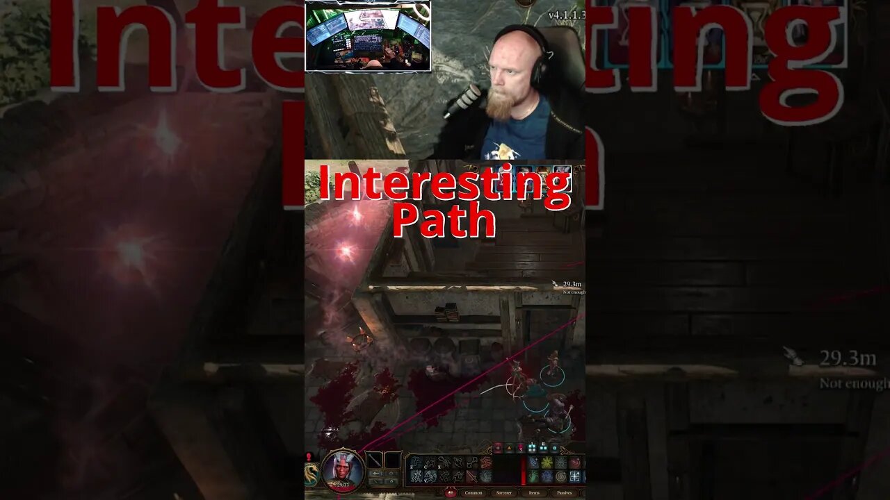 Interesting Path #gameplay #baldursgate3 #scandinavianwolf #shorts