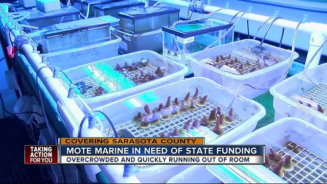 Mote Marine Aquarium in need of state funding