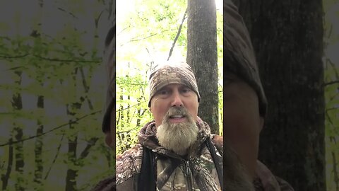 Hunting A Mature Buck? Do This! #shorts #deerhunting #shooting #bucks #hunting #bowhunting #diy