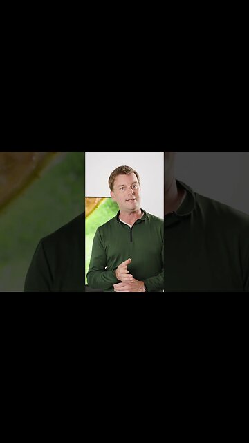 Hisense U8K Review coming: What do you want to know