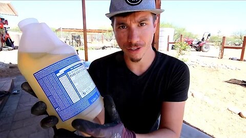 How To Reuse Your Laundry Machine Greywater For A Fruit Tree