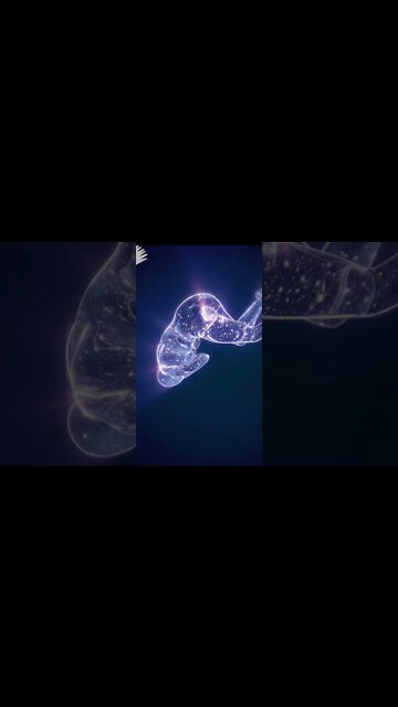 FEAR NOT, FOR I AM WITH YOU WHEN IT COMES TO BIT ANXIETY!