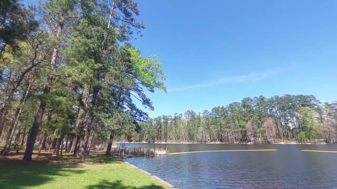 Ratcliff Lake swimming Davy Crockett NF