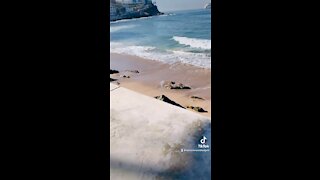 Olas Altas has great fetch for seaglass