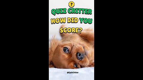 🐶Quiz Critter - How did you do? - Baby Animal Names #short #animal #quiz