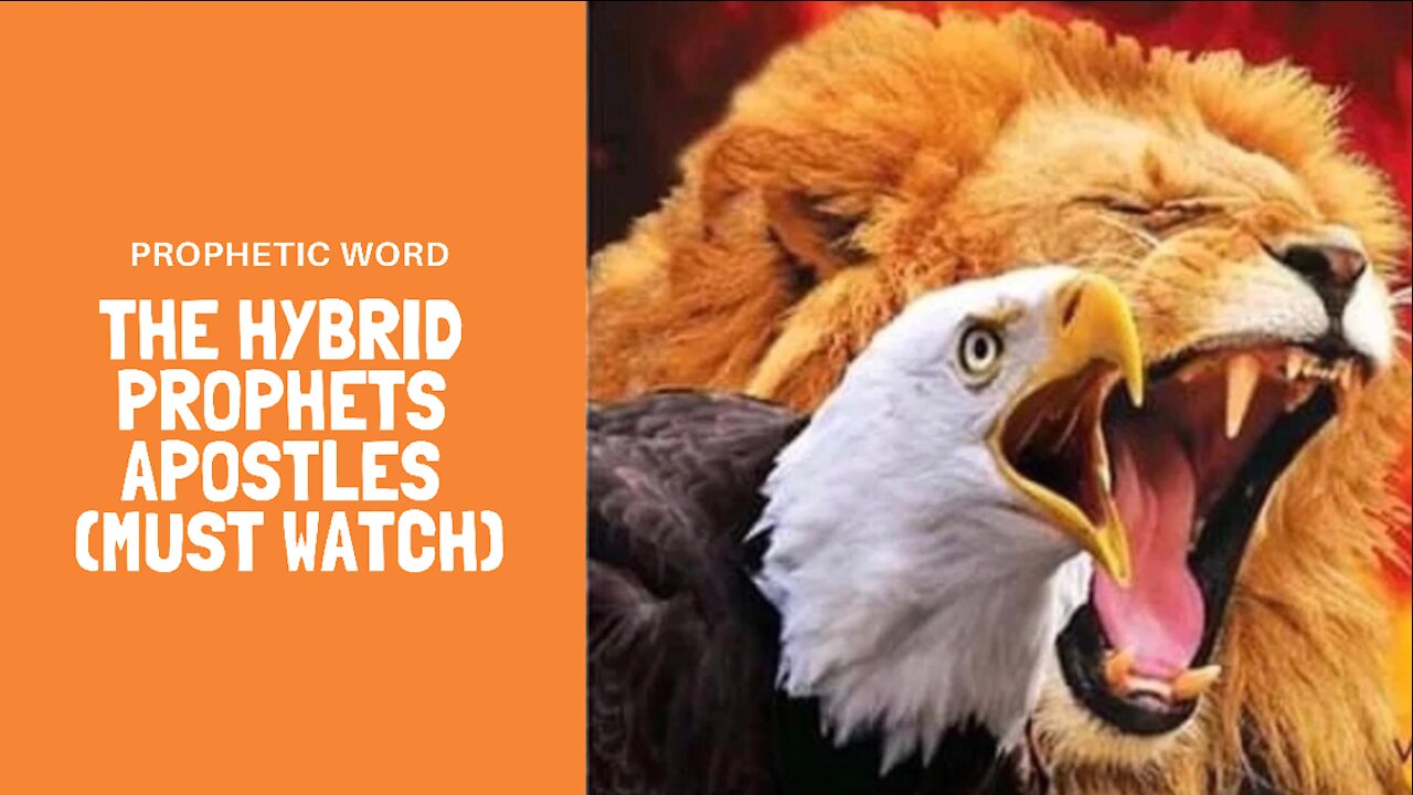 Apostle & Prophet Hybrid Anointing