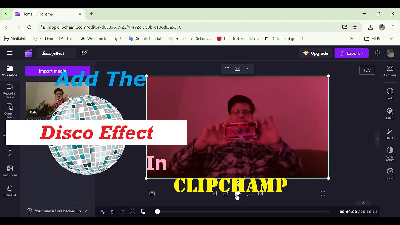 Add The Disco Effect In Clipchamp