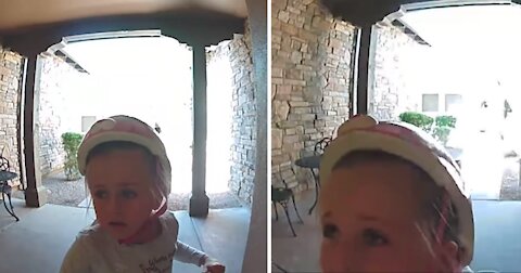 Scared Little Girl Begs For Neighbors Help Through Doorbell Cam After Fleeing From Bobcat