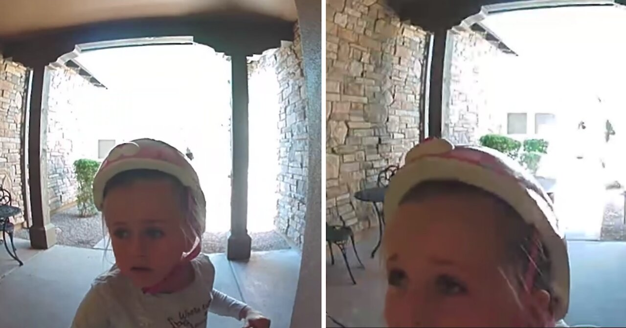 Scared Little Girl Begs For Neighbors Help Through Doorbell Cam After Fleeing From Bobcat