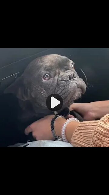 SCARED OF TRAFFIC NOISE