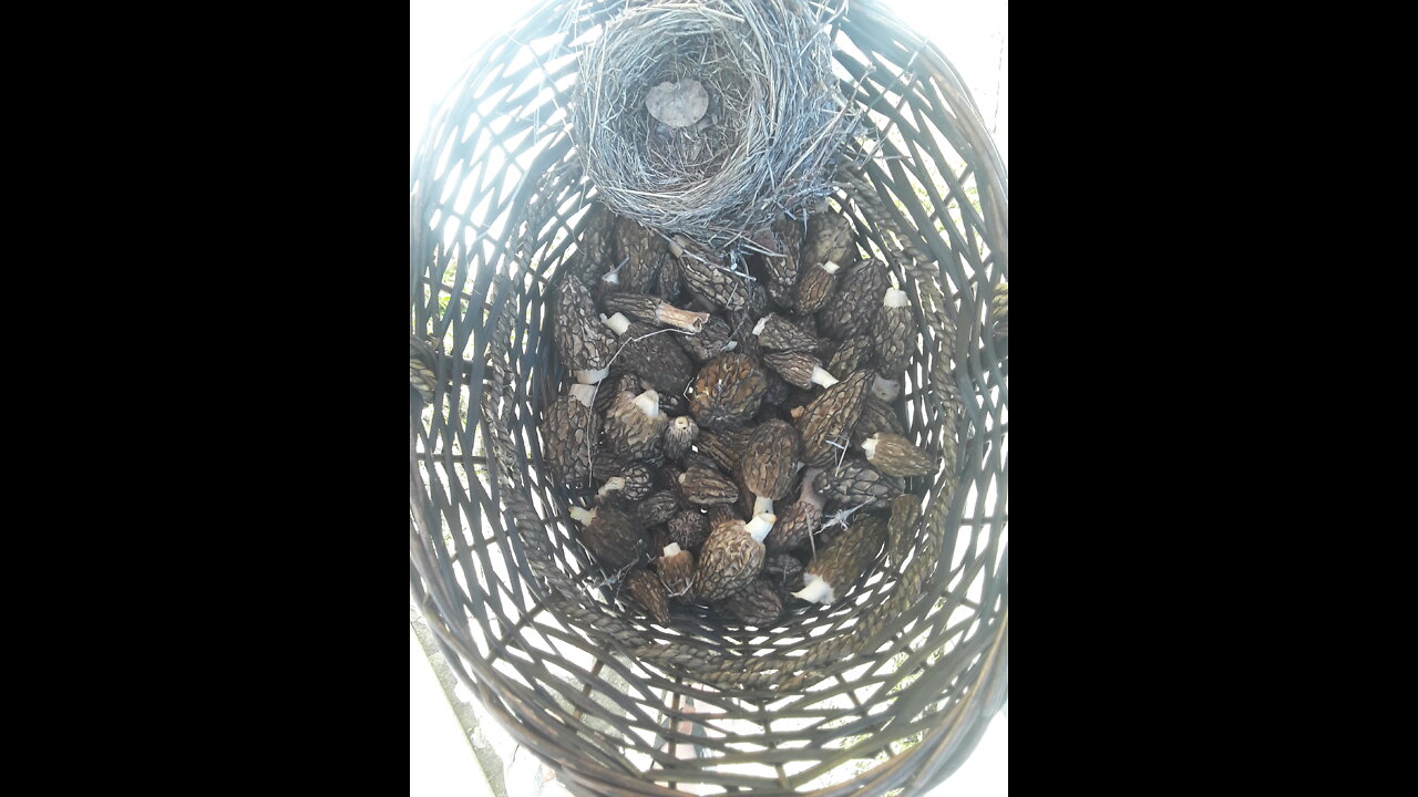 Another great day🌞😎🤙